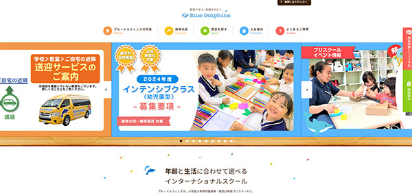 ブルードルフィンズのHPキャプチャー